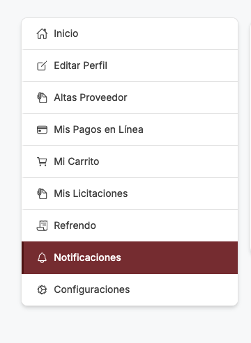 Imagen de apoyo del paso 12